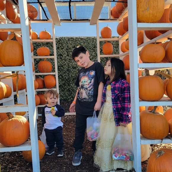 Meet your Posher, Ashley - Picture 4 of 4